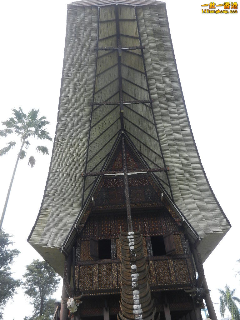 DSCN8973.JPG