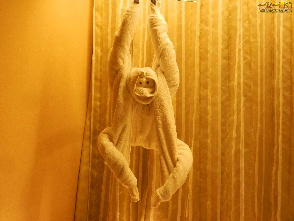 DSCN9373.JPG
