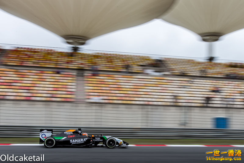 P11.jpg