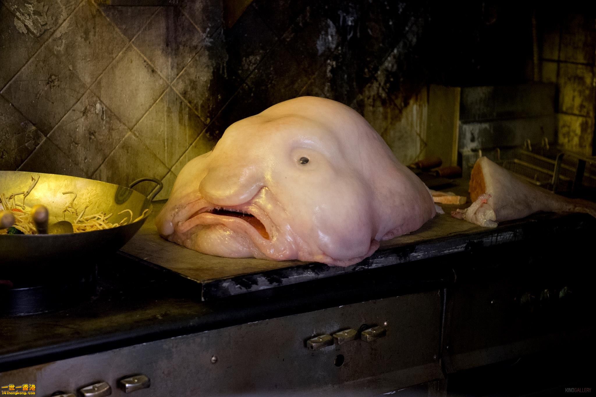 MIB3_Blobfish.jpg