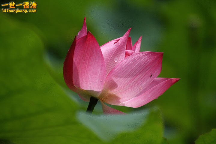 01 (29).jpg