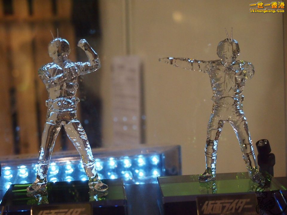 P1011120.jpg