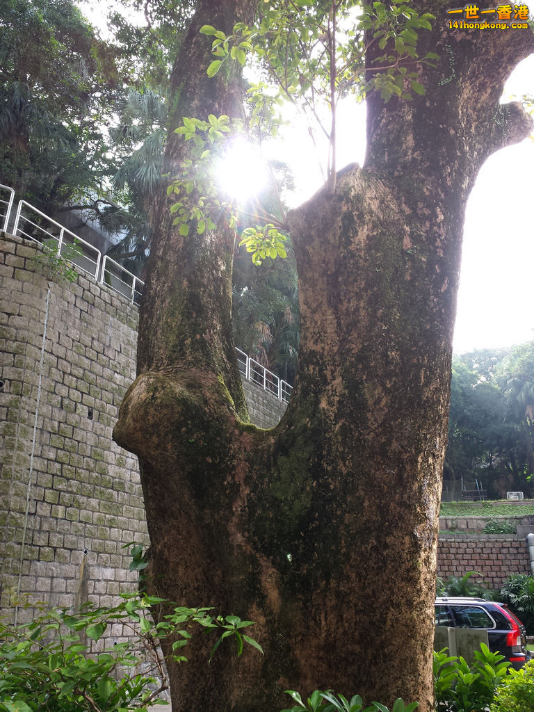 20131106_143845.jpg