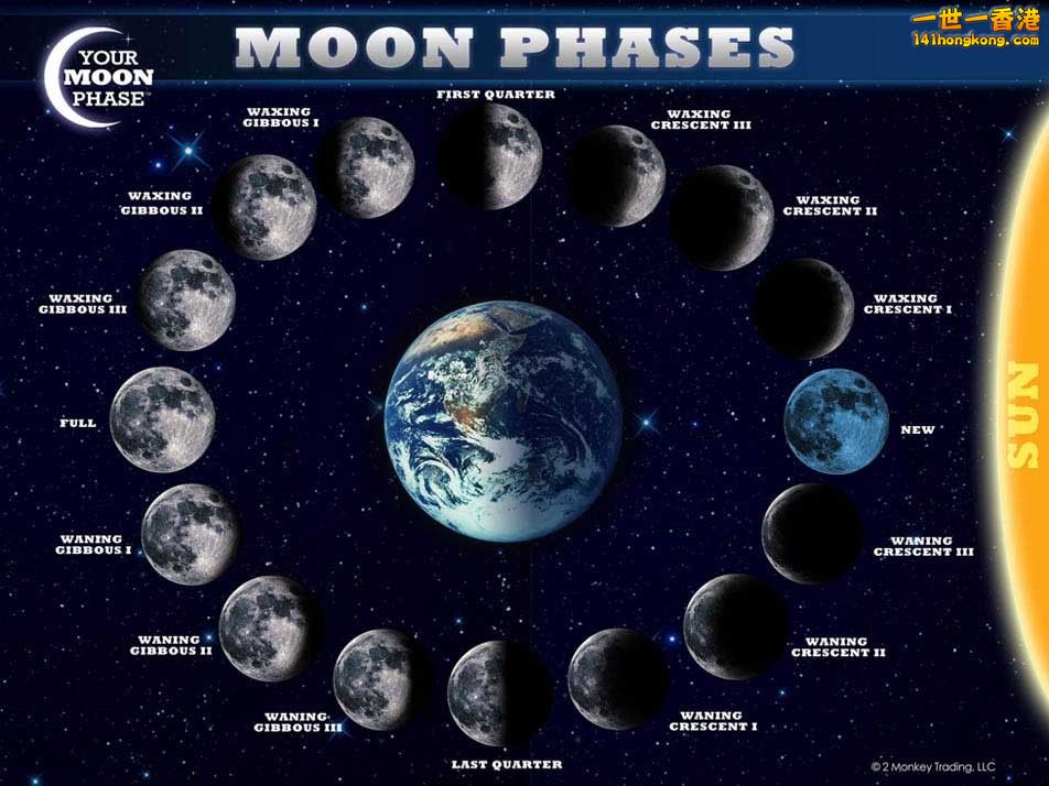 moon-phase-chart.jpg
