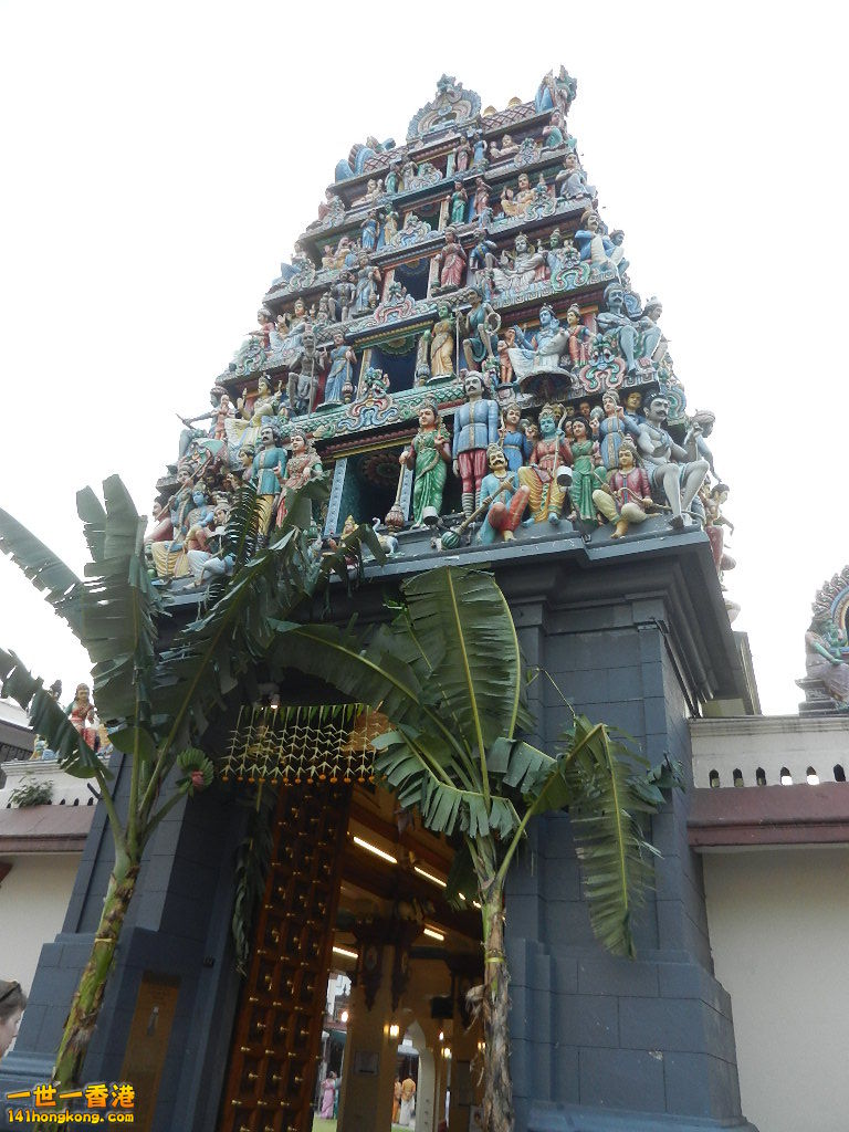 DSCN0802.JPG