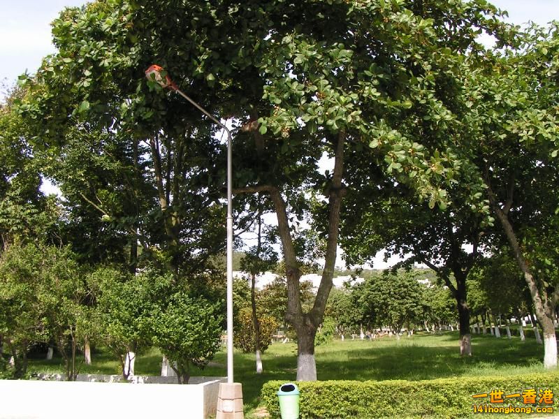 177297221lgiBQR_ph[1].jpg