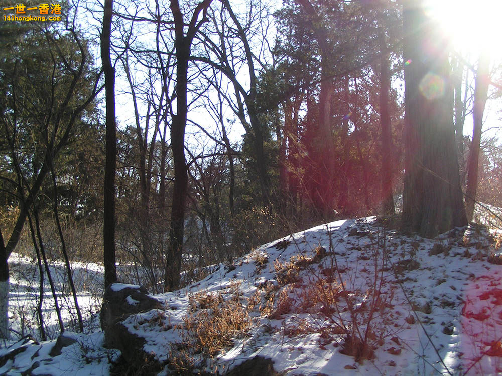 PICT0151.JPG