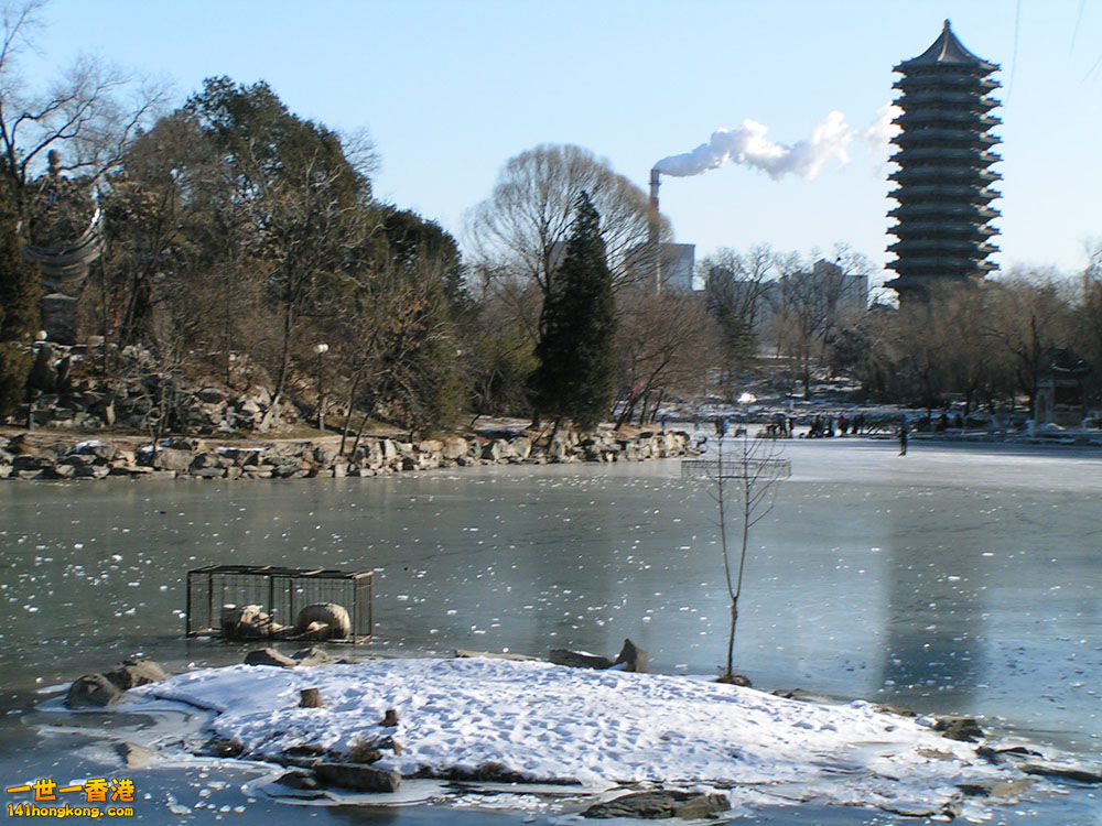 PICT0154.JPG