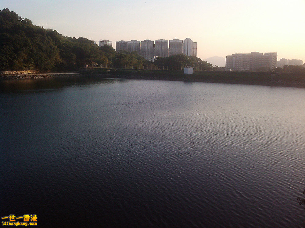 IMG_20111210_172253.jpg