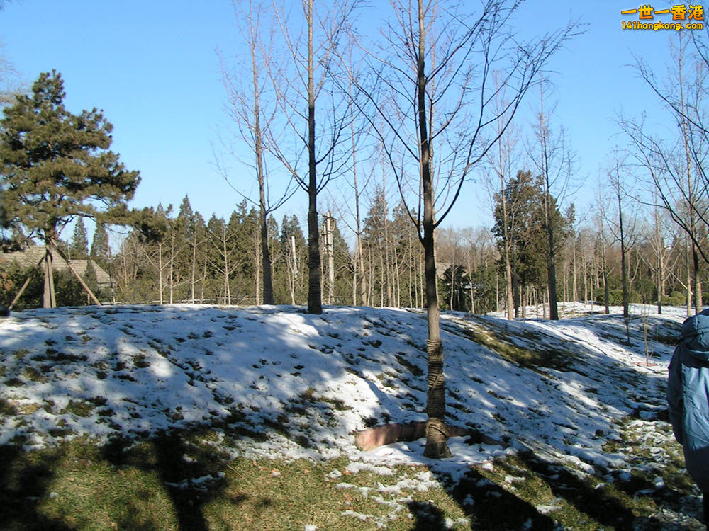 PICT0170.JPG
