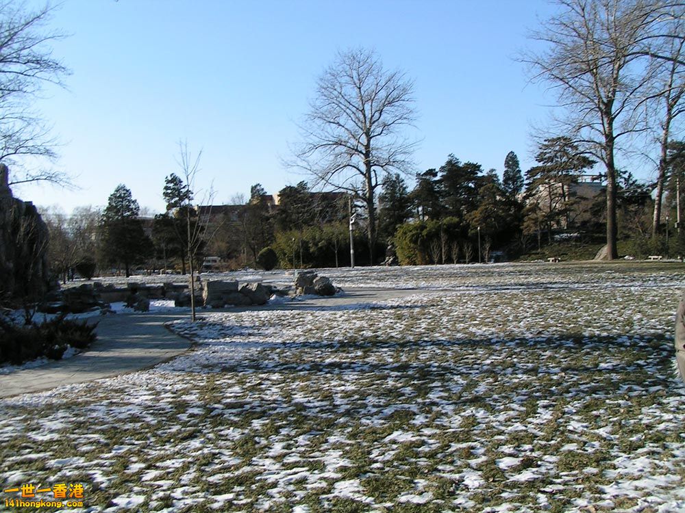 PICT0181.JPG