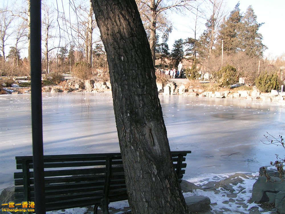 PICT0178.JPG