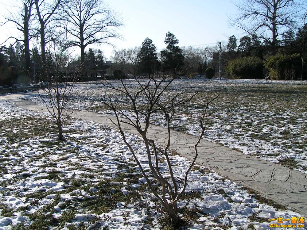 PICT0182.JPG