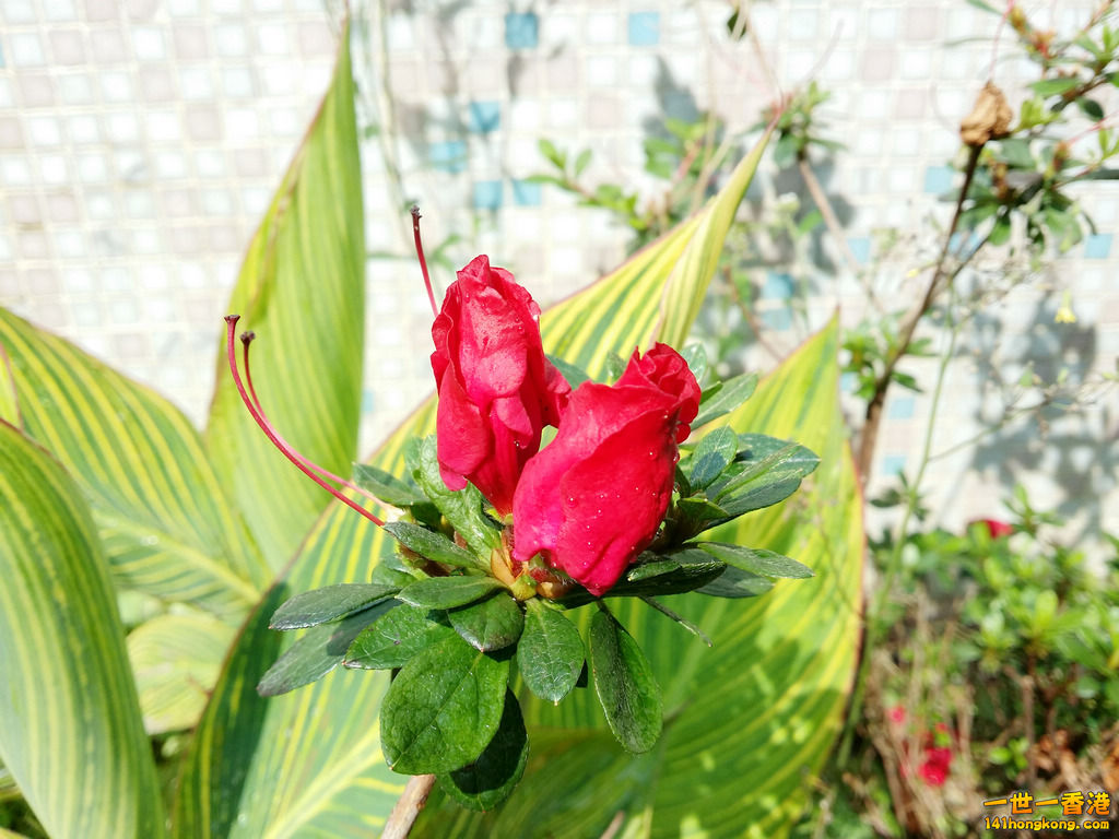 20140418_145259.jpg