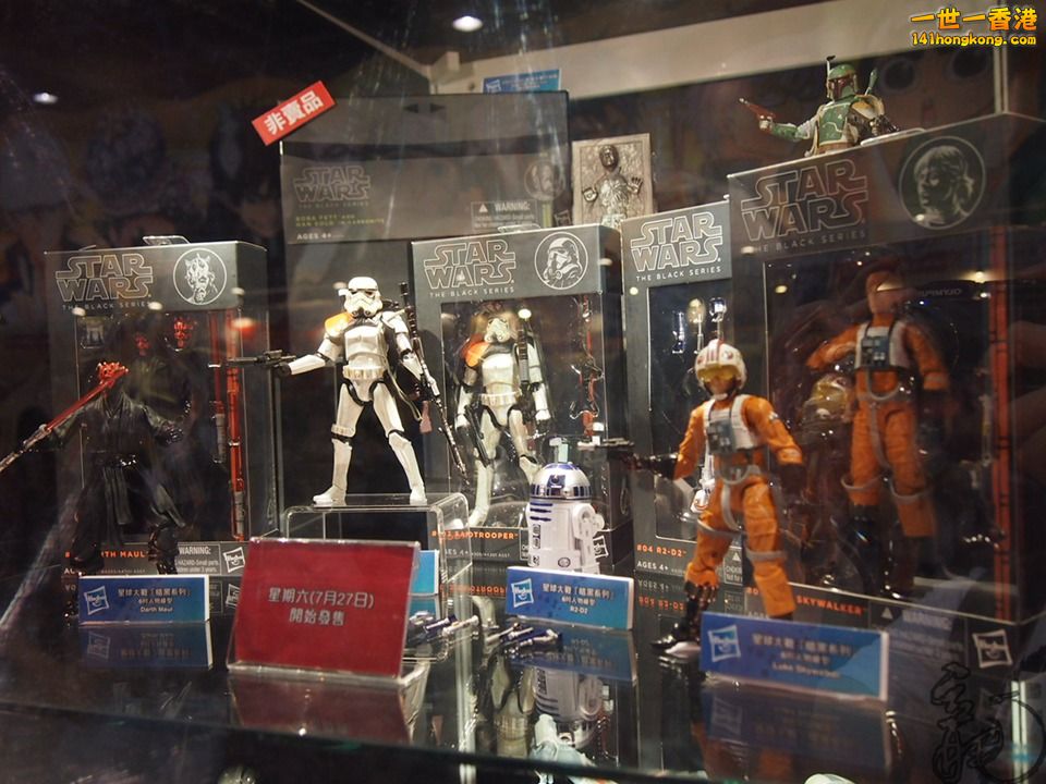 P1011626.jpg