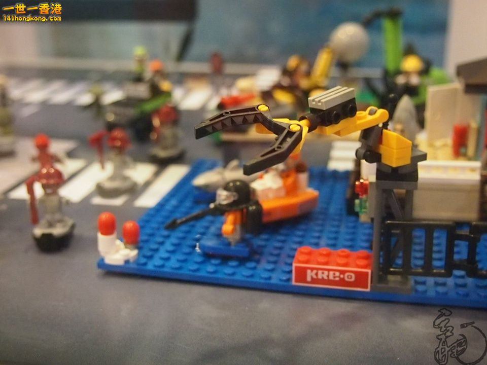 P1011646.jpg