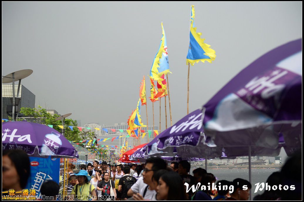 DSC_9519.jpg
