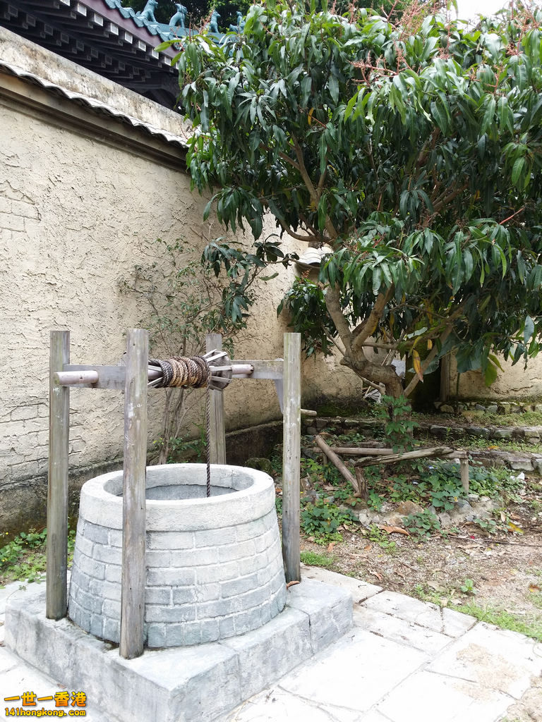 20140407_112330.jpg