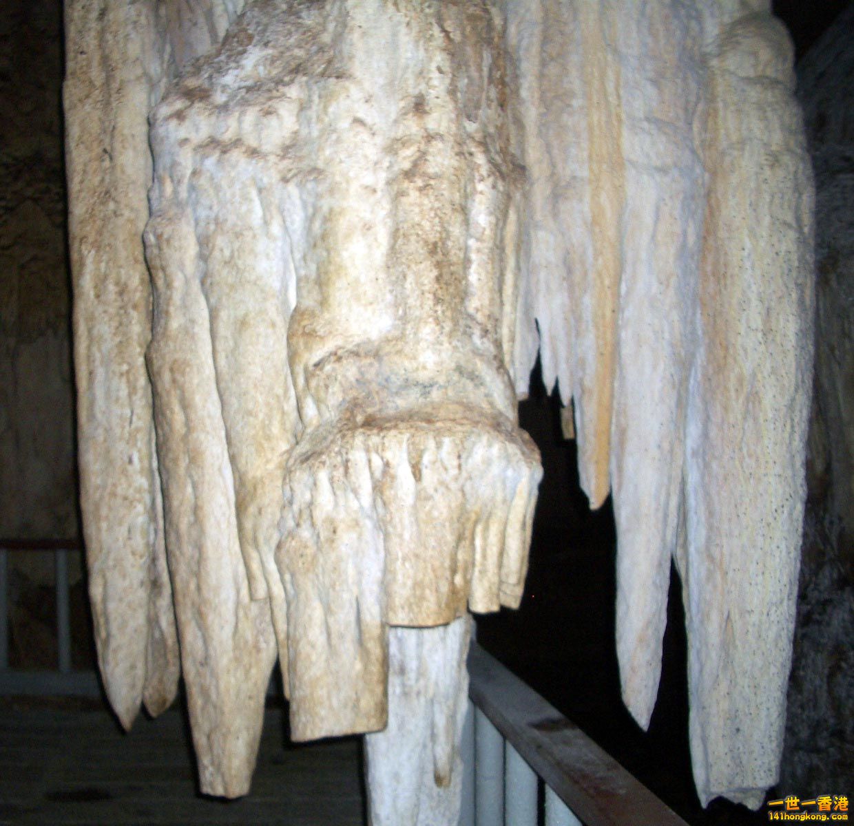 IMGP2203.JPG
