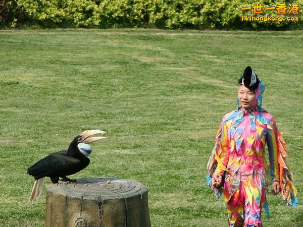 bird.JPG