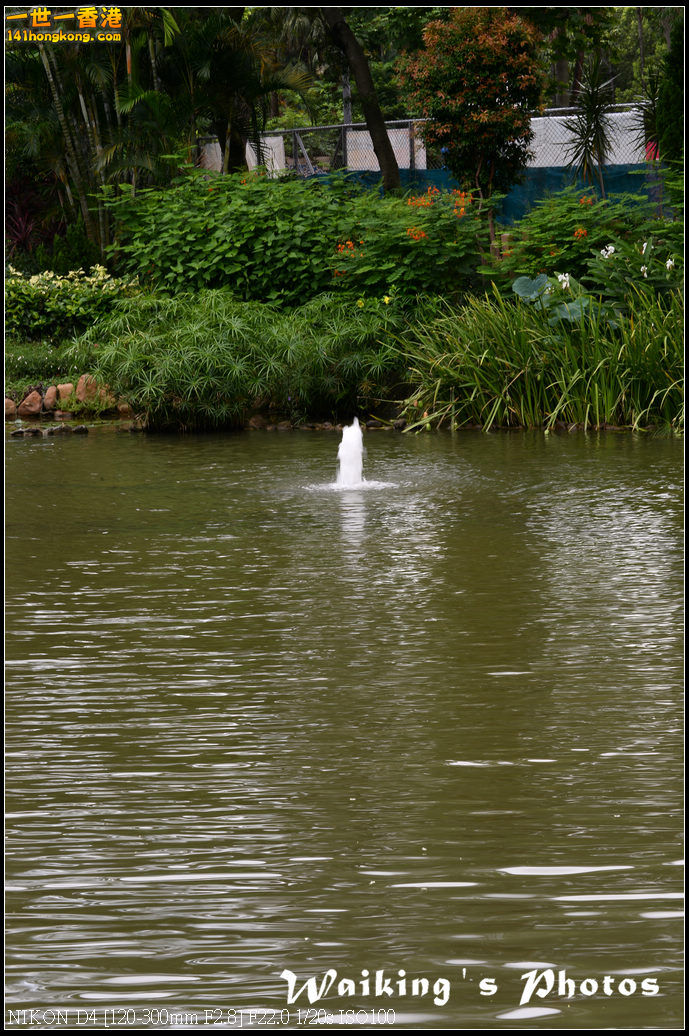 DSC_9753.jpg