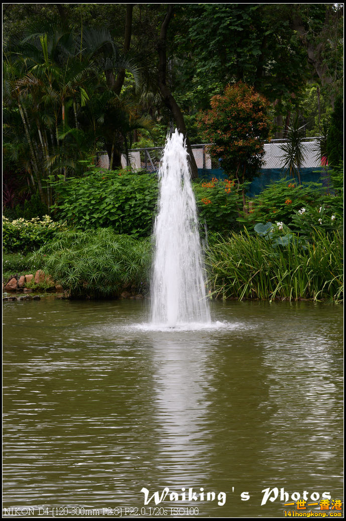 DSC_9754.jpg
