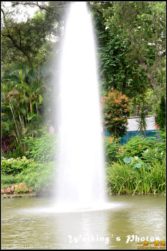 DSC_9756.jpg