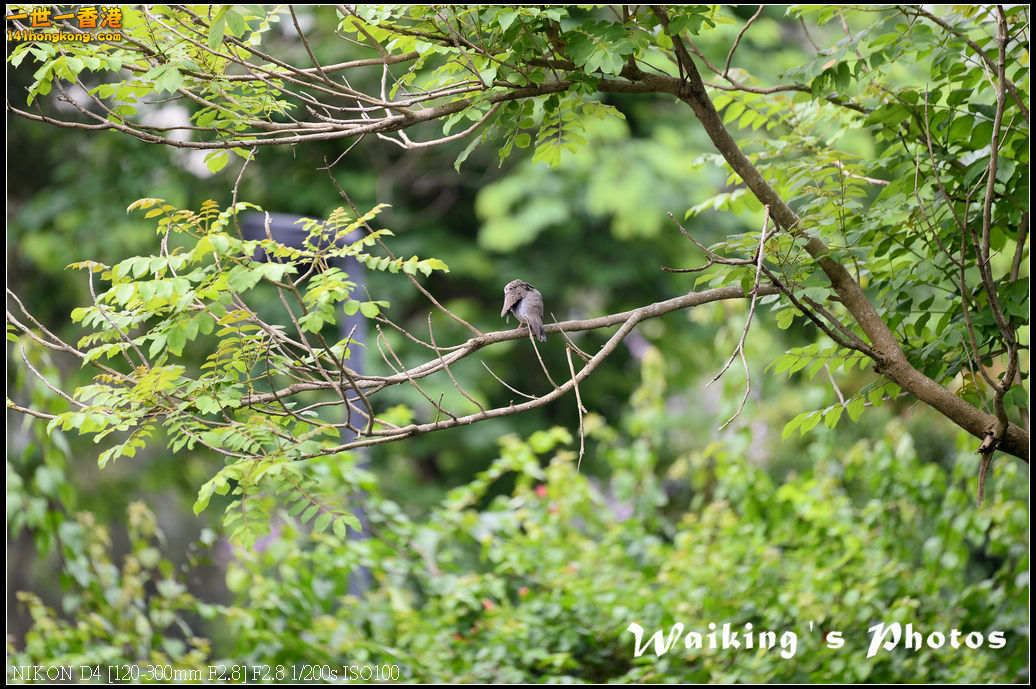 DSC_9775.jpg