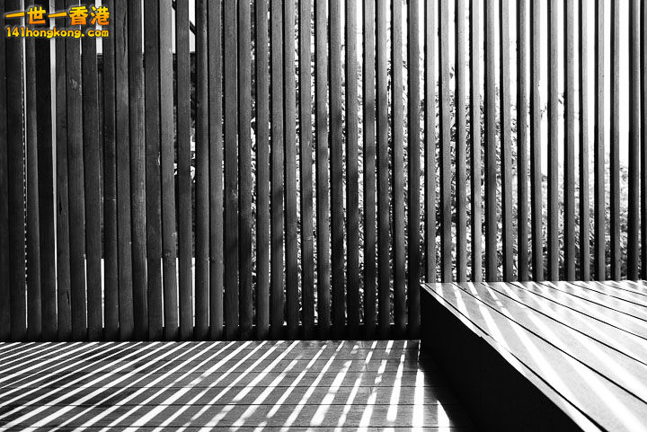 01 (99).jpg