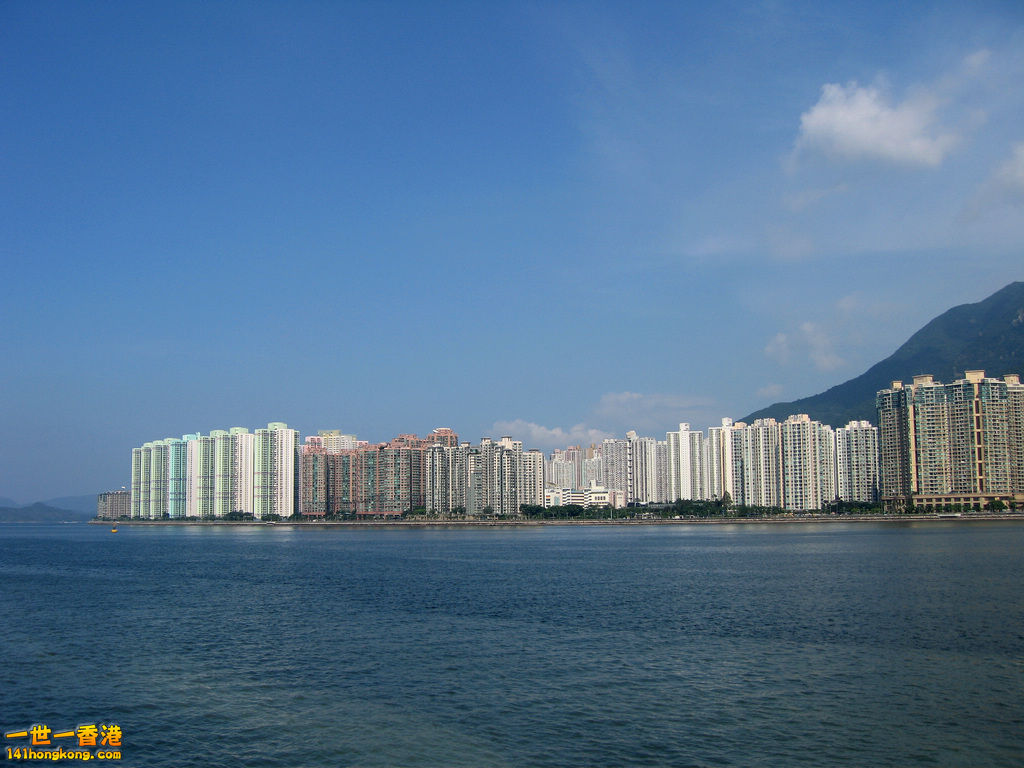 照片 384.jpg