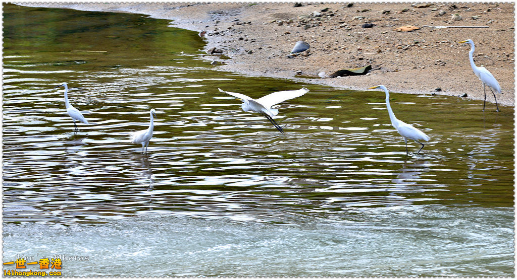DSC_0152.jpg