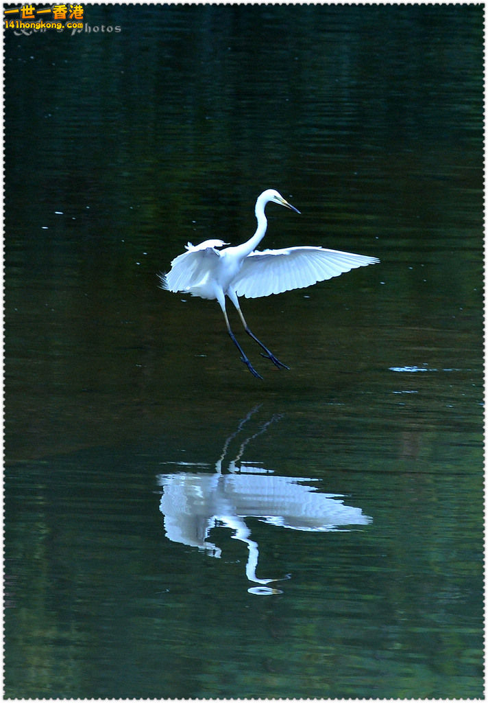 DSC_9877.jpg