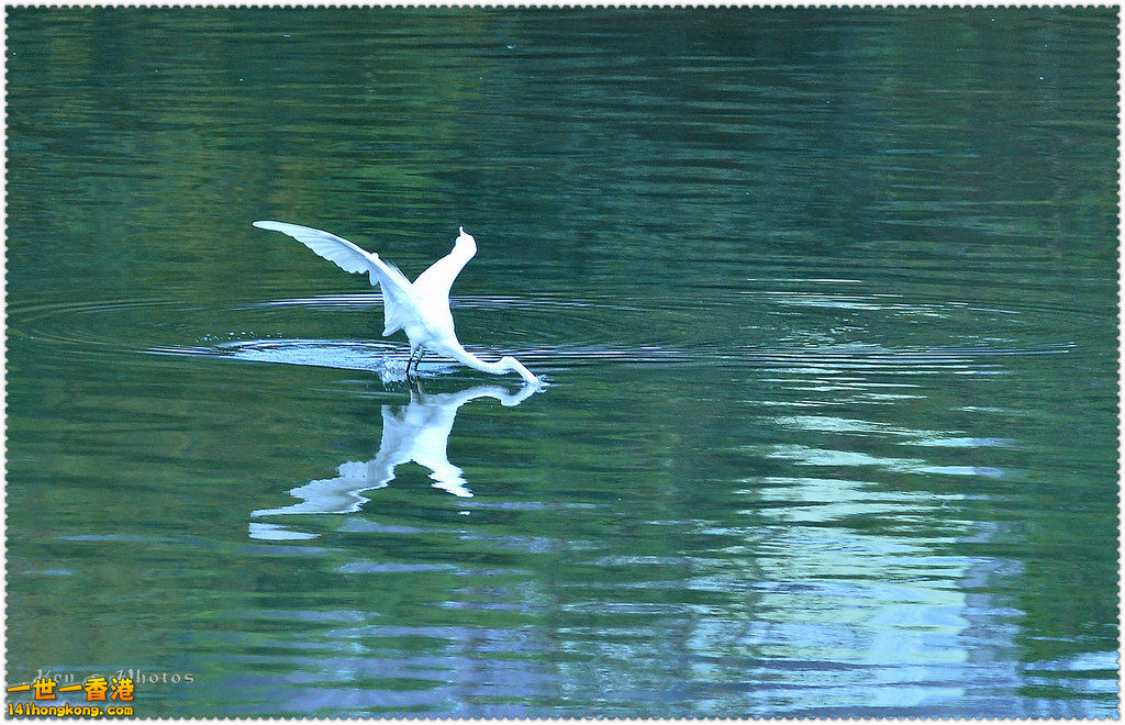 DSC_9900.jpg