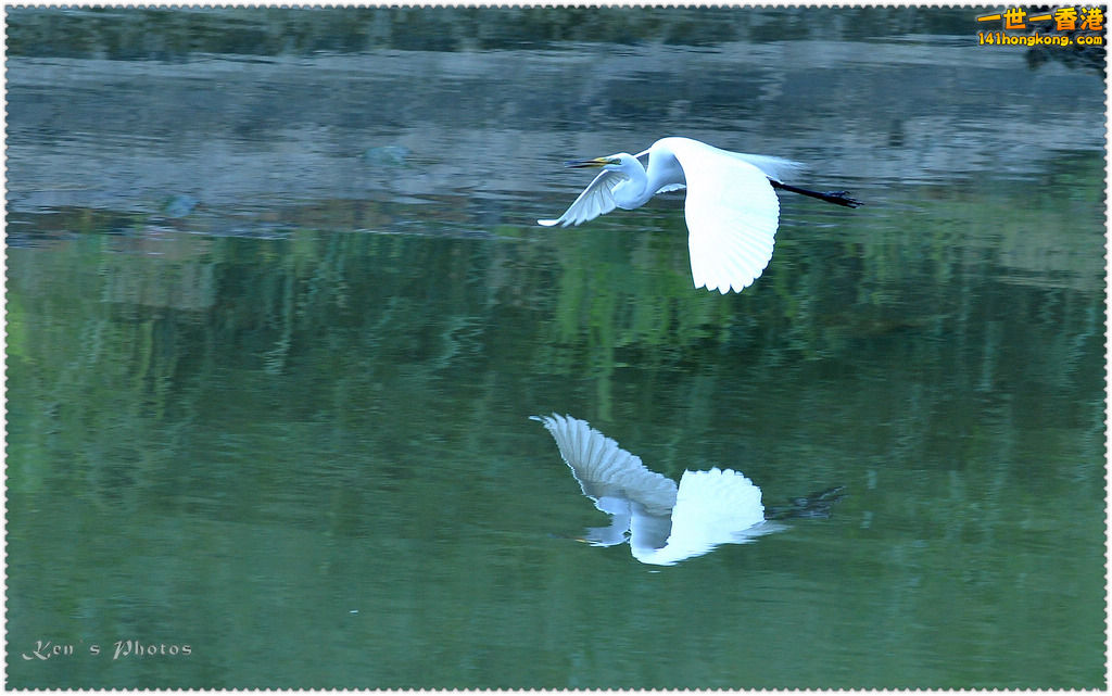 DSC_9907.jpg