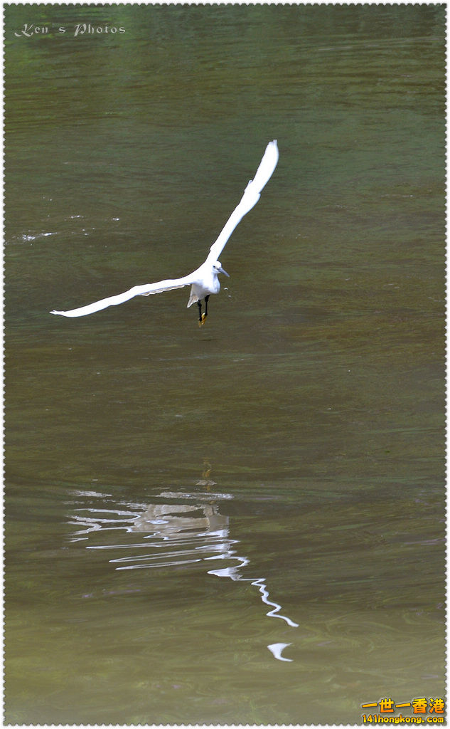 DSC_9933.jpg