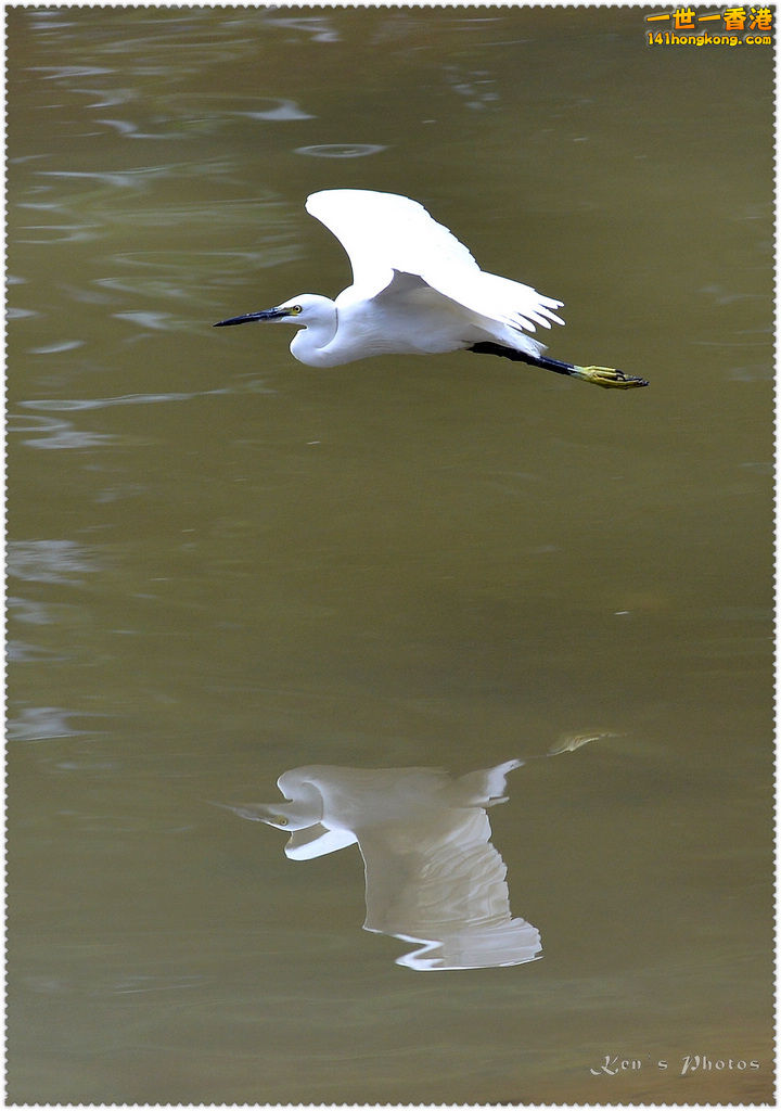 DSC_9942.jpg
