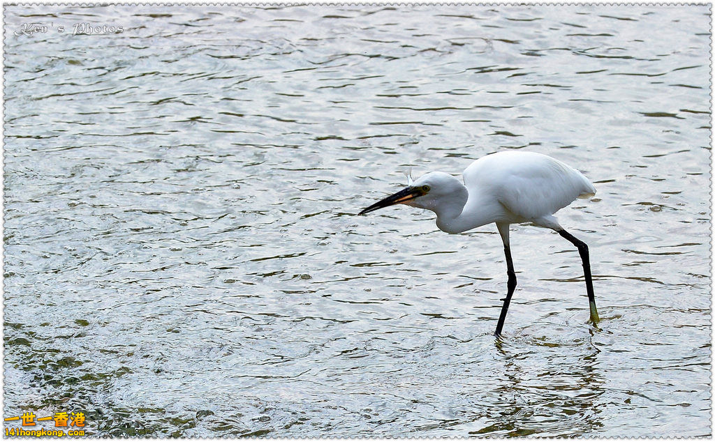 DSC_9979.jpg