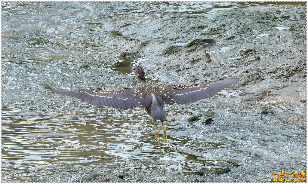 DSC_9982.jpg