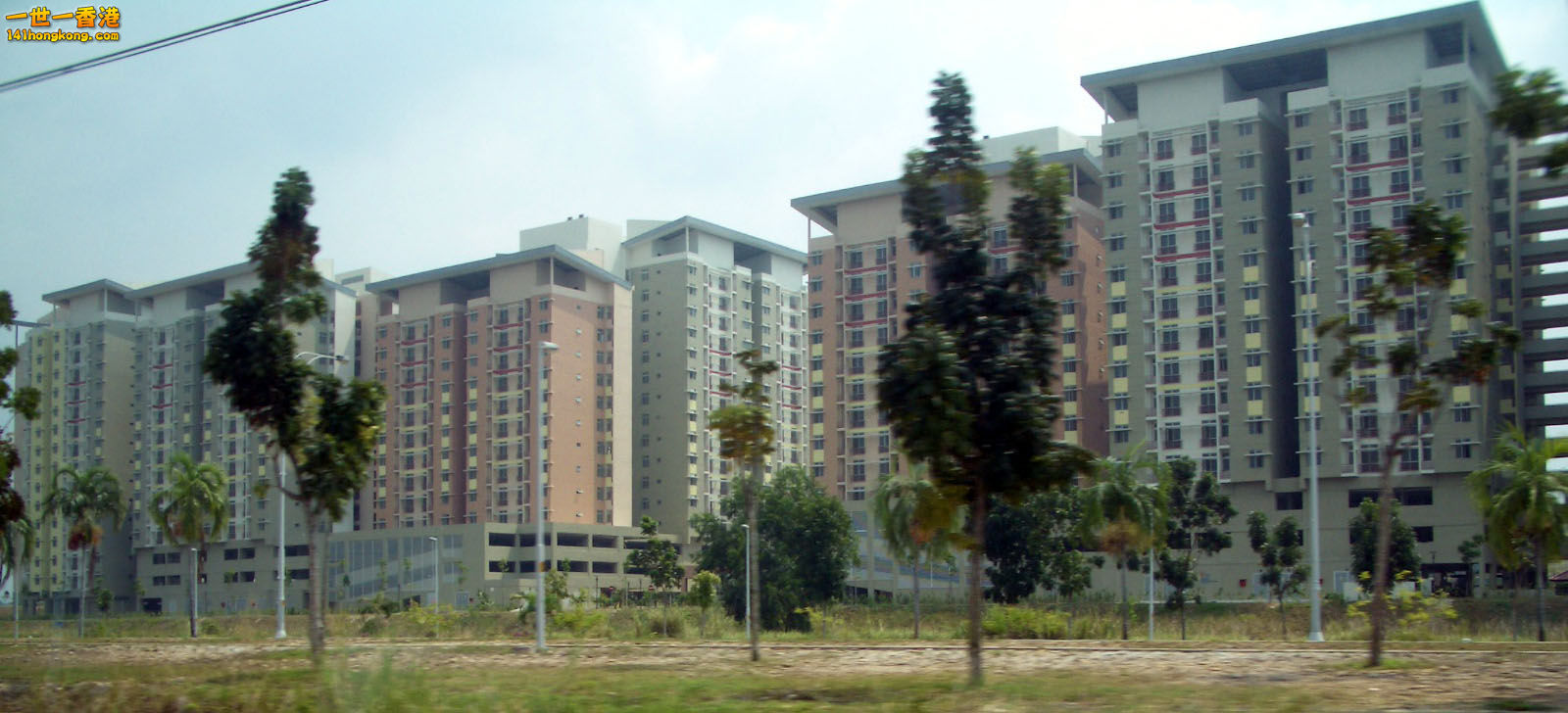IMGP2309.JPG