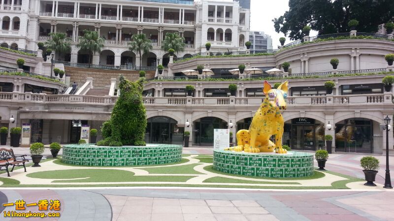 IMG-20140704-WA0001.jpg