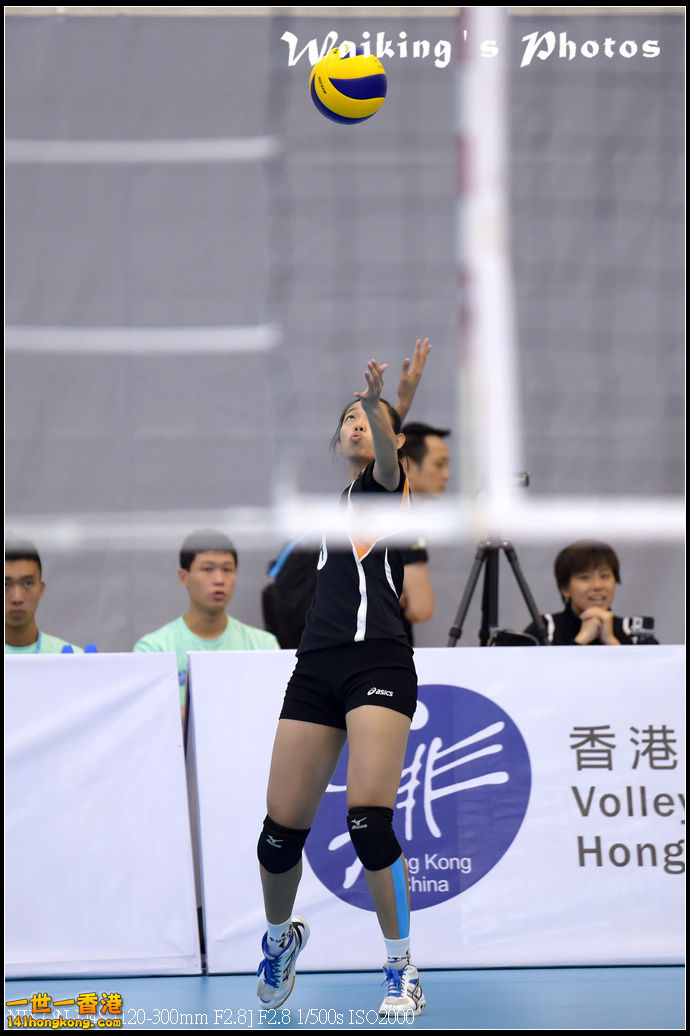 D4S_0305.jpg