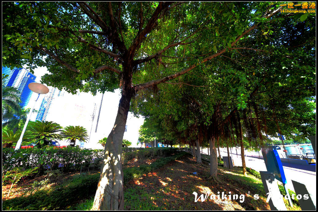 D4S_0020.jpg