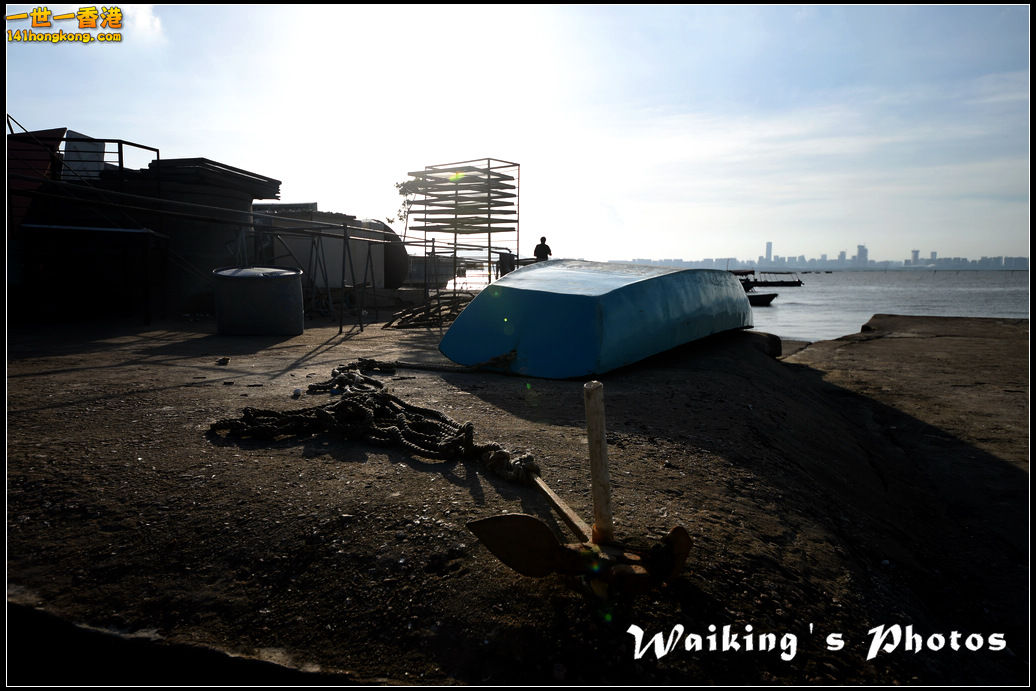 D4S_0036.jpg