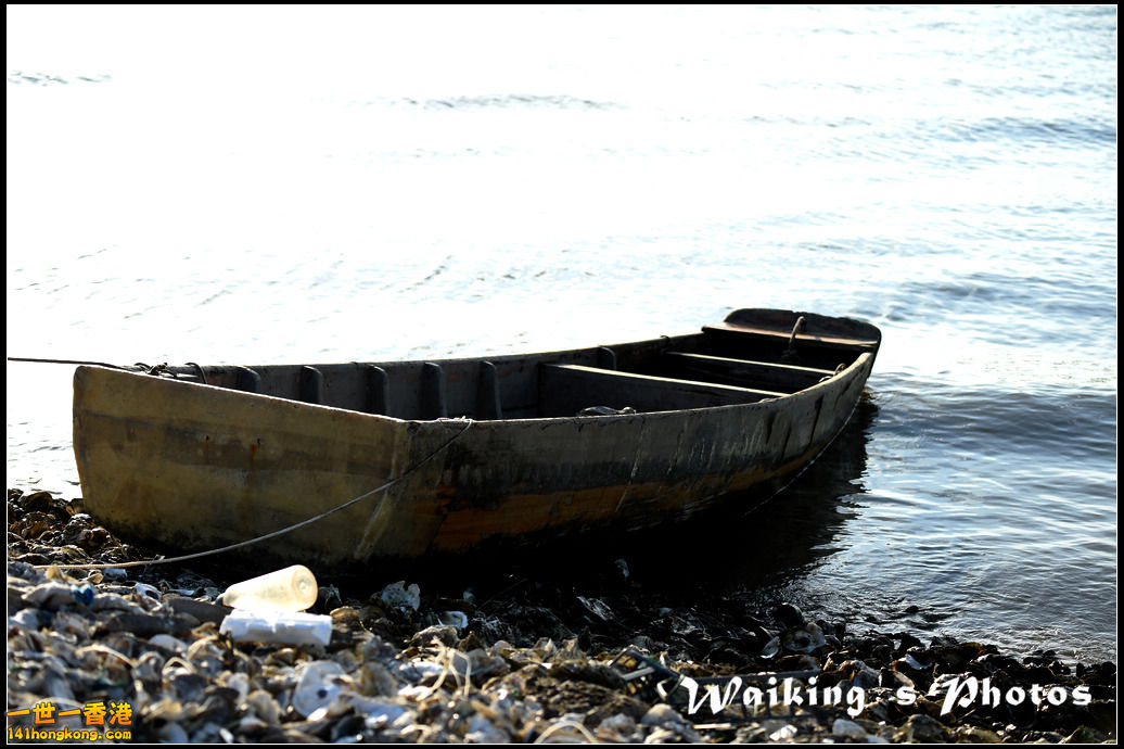 D4S_0046.jpg