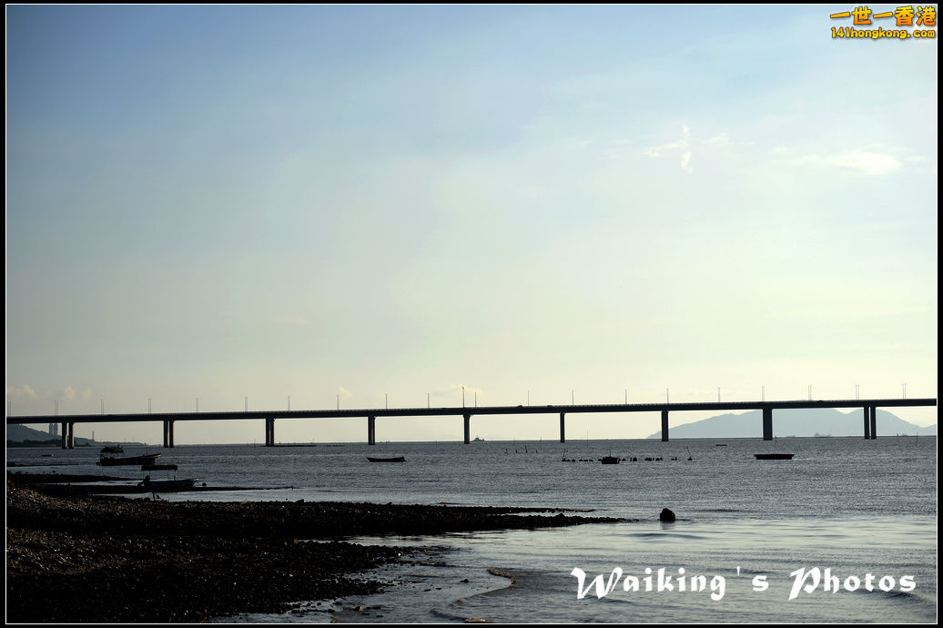 D4S_0047.jpg