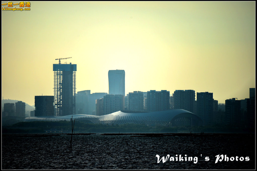D4S_0049.jpg