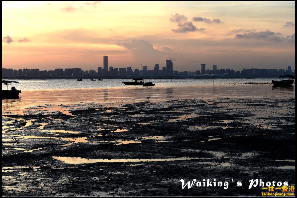 D4S_0113.jpg