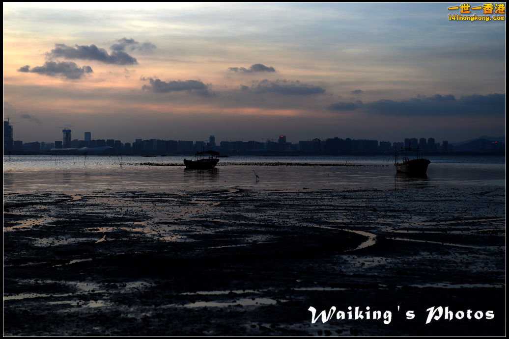 D4S_0121.jpg