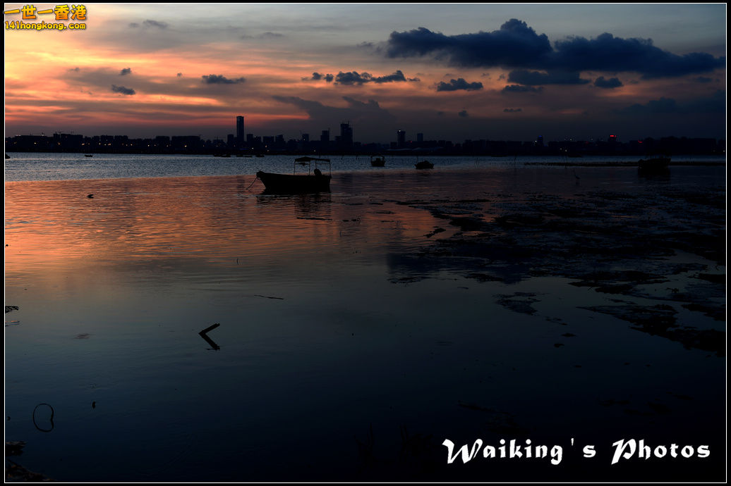 D4S_0161.jpg