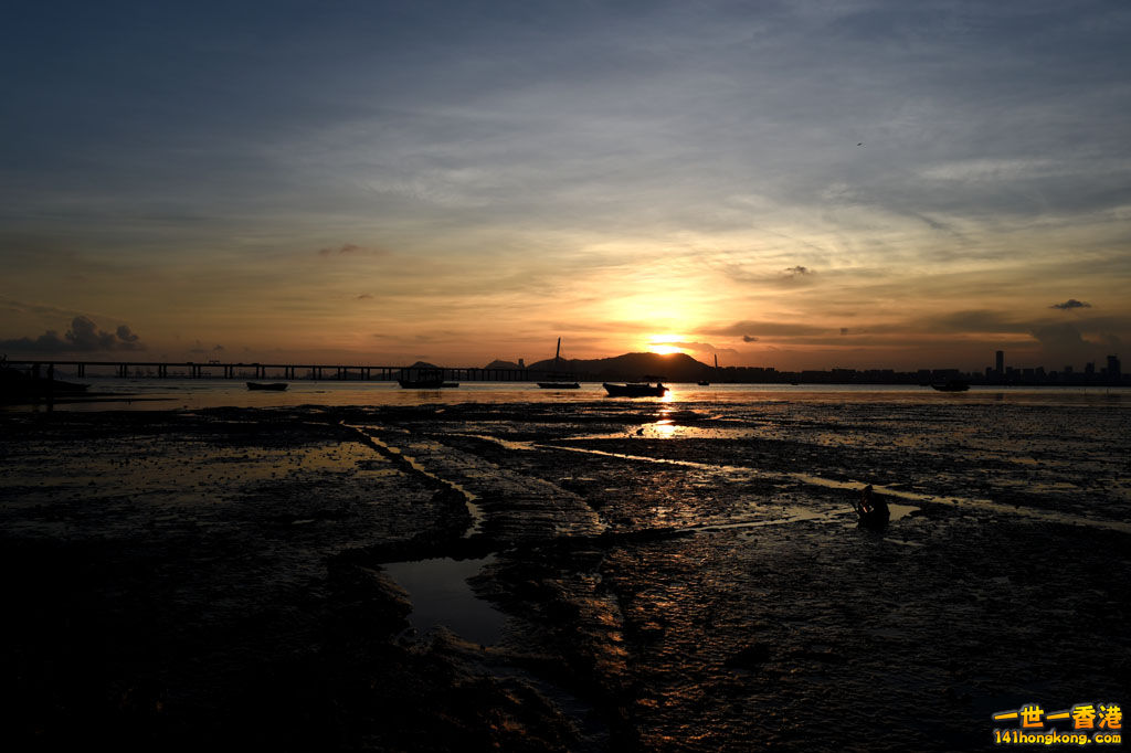 DSC_0111.JPG